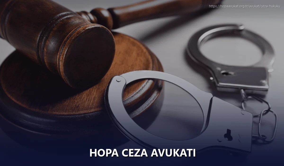 Hopa Ceza Avukatı